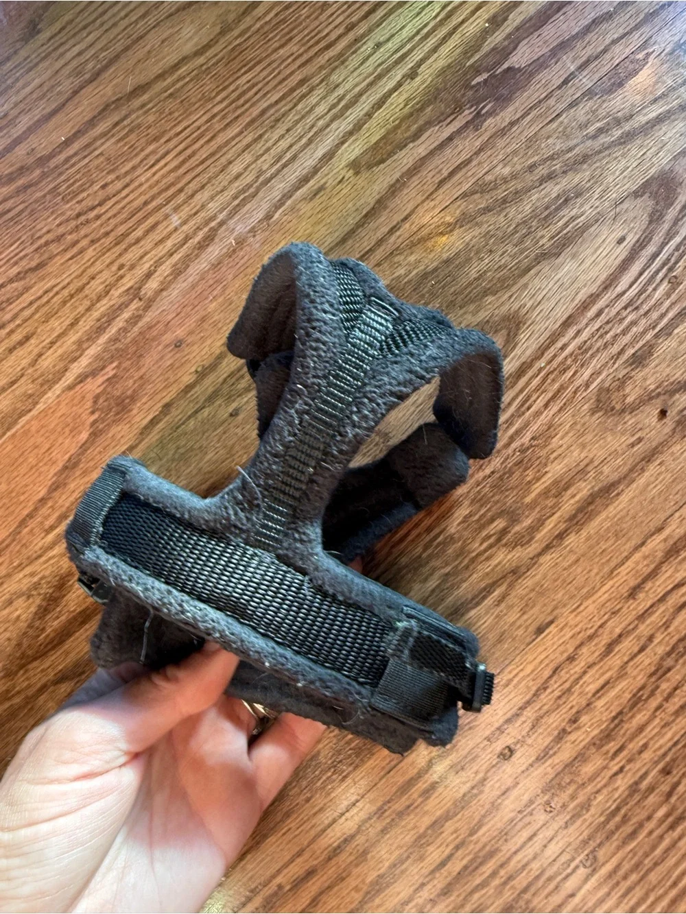 Perfect Fit Rainbow Padded Dog Harness - Black with Rainbow Stripe
